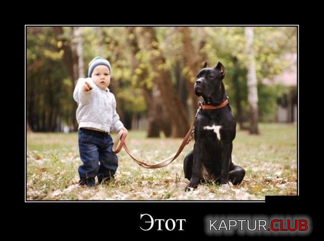 1517485628_demotivatory_26.jpg | Рено Каптур Клуб Россия | Форум KAPTUR.SU