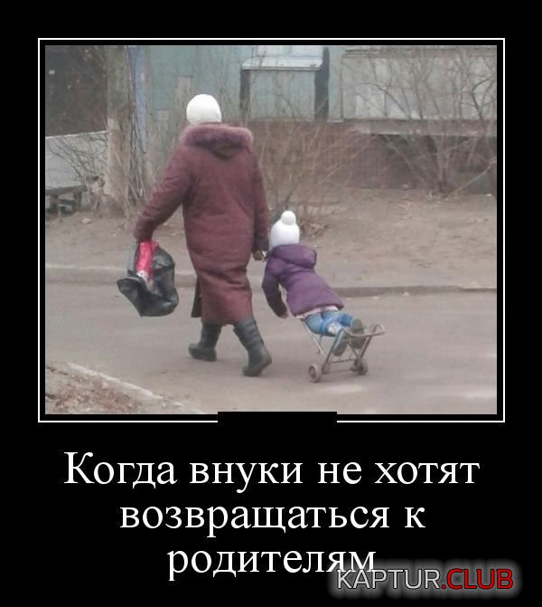 1518164607_demotivatory_21.jpg | Рено Каптур Клуб Россия | Форум KAPTUR.SU