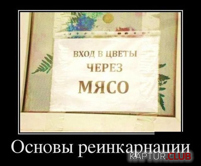 1518680160_demotivatory_11.jpg | Рено Каптур Клуб Россия | Форум KAPTUR.SU