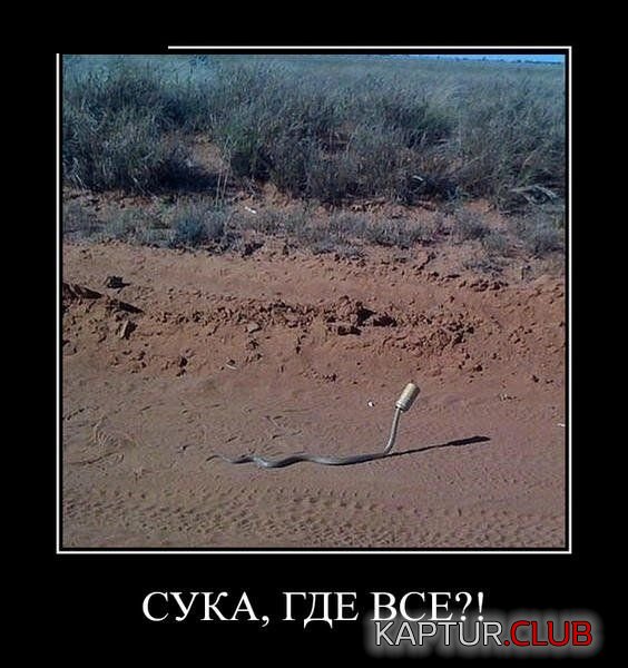 1518680178_demotivatory_22.jpg | Рено Каптур Клуб Россия | Форум KAPTUR.SU