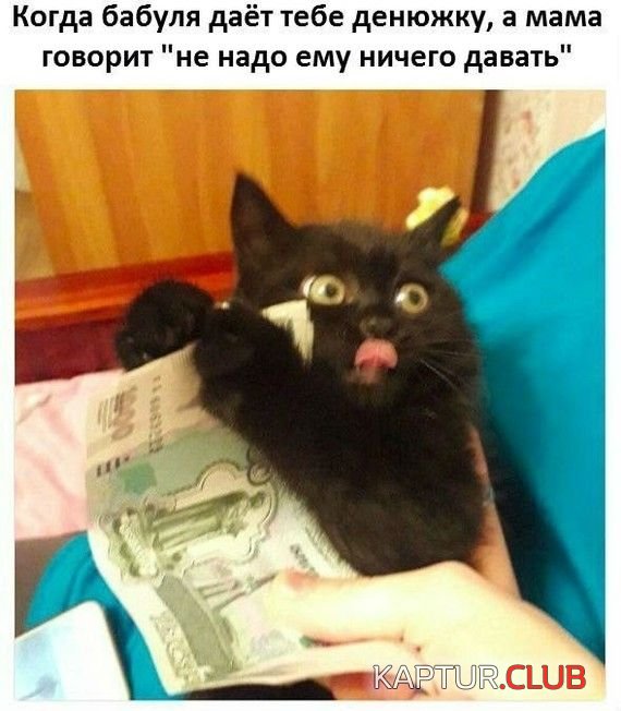 1519548040_kartinki_05.jpg | Рено Каптур Клуб Россия | Форум KAPTUR.SU