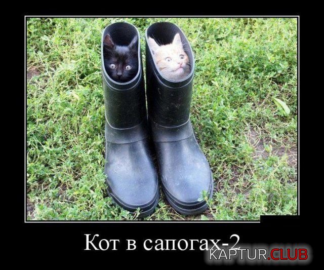 1519587899_demotivatory_08.jpg | Рено Каптур Клуб Россия | Форум KAPTUR.SU