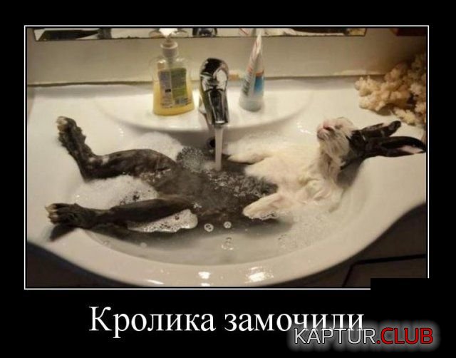 1519587957_demotivatory_22.jpg | Рено Каптур Клуб Россия | Форум KAPTUR.SU