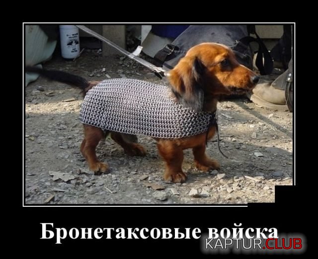 1519596913_05-640x521.jpg | Рено Каптур Клуб Россия | Форум KAPTUR.SU