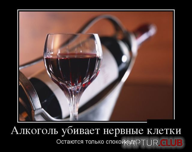 1520434296_demotivatory_03.jpg | Рено Каптур Клуб Россия | Форум KAPTUR.SU