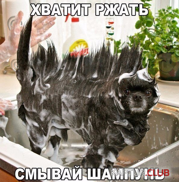 1520754301_kartinki_03.jpg | Рено Каптур Клуб Россия | Форум KAPTUR.SU