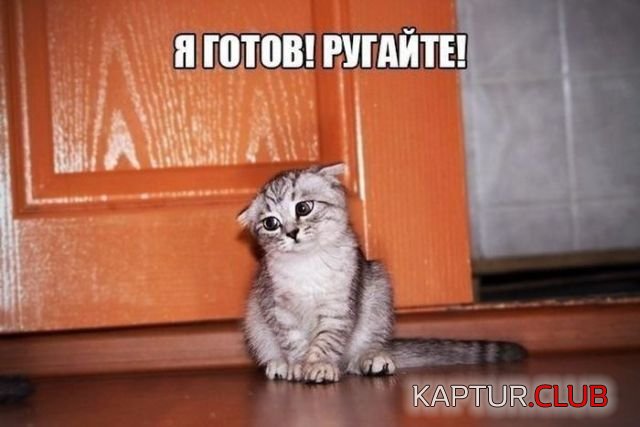 1520754307_kartinki_16.jpg | Рено Каптур Клуб Россия | Форум KAPTUR.SU