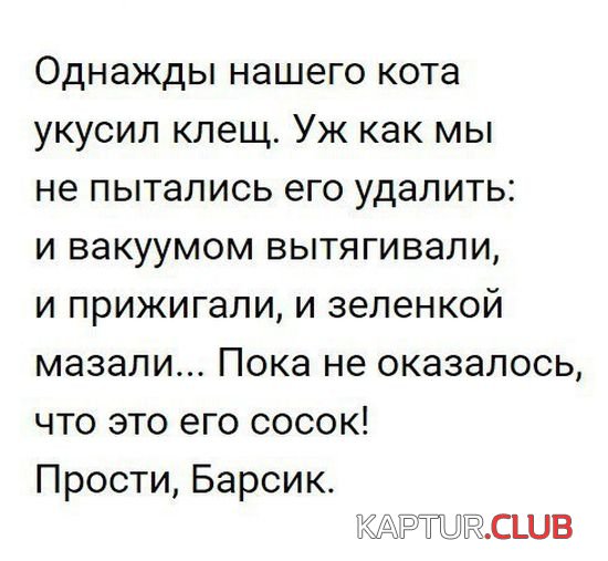 1520754363_kartinki_10.jpg | Рено Каптур Клуб Россия | Форум KAPTUR.SU