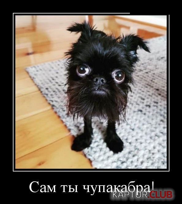 1521101208_demotivatory_27.jpg | Рено Каптур Клуб Россия | Форум KAPTUR.SU