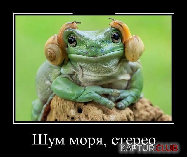 1521101235_demotivatory_21.jpg | Рено Каптур Клуб Россия | Форум KAPTUR.SU