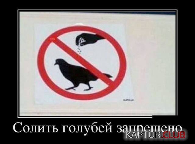 1521109395_demotivatory_22.jpg | Рено Каптур Клуб Россия | Форум KAPTUR.SU