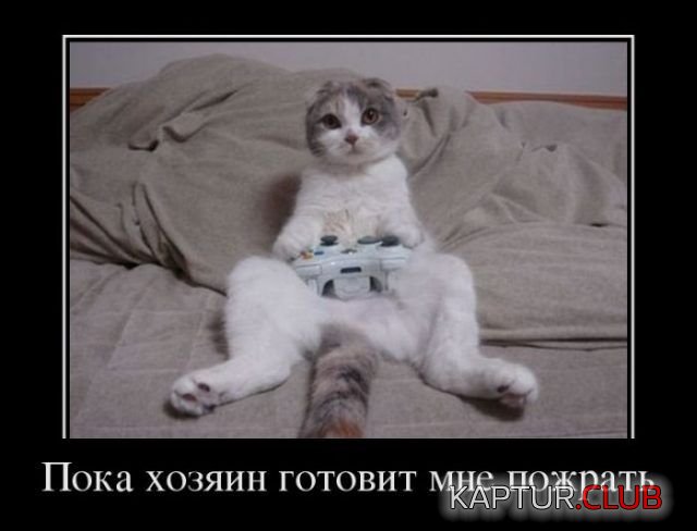 1521109427_demotivatory_15.jpg | Рено Каптур Клуб Россия | Форум KAPTUR.SU
