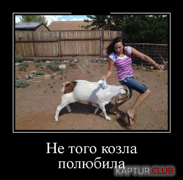 1521109632_demotivatory_13.jpg | Рено Каптур Клуб Россия | Форум KAPTUR.SU
