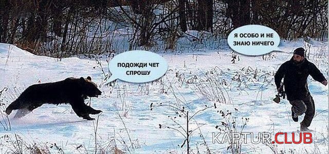 1521362779_kartinki_14.jpg | Рено Каптур Клуб Россия | Форум KAPTUR.SU