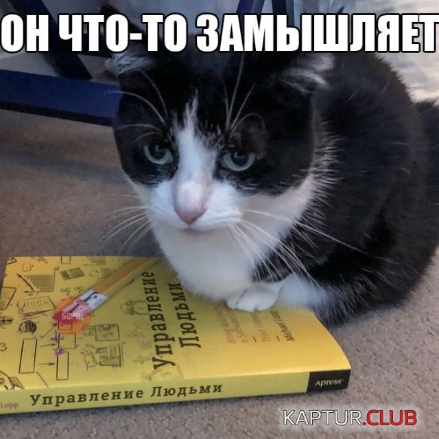 1521444883_podborka_dnevnaya_14.jpg | Рено Каптур Клуб Россия | Форум KAPTUR.SU