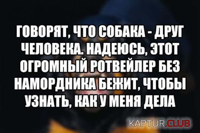 1521447817_1520754342_kartinki_20.jpg | Рено Каптур Клуб Россия | Форум KAPTUR.SU