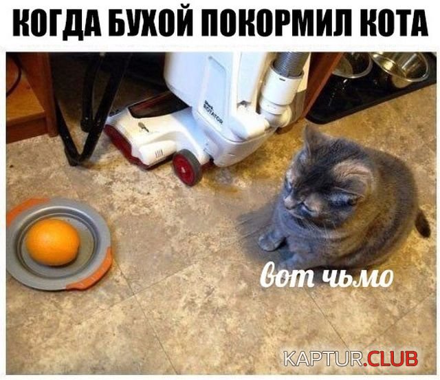 1521448395_podborka_dnevnaya_18.jpg | Рено Каптур Клуб Россия | Форум KAPTUR.SU