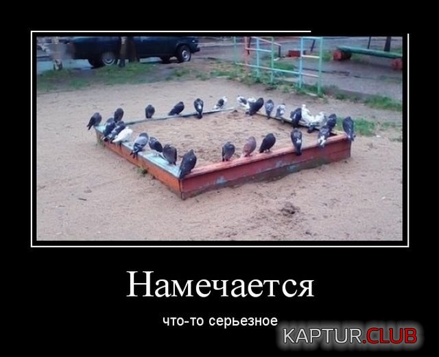 1521790653_demotivatory_22.jpg | Рено Каптур Клуб Россия | Форум KAPTUR.SU