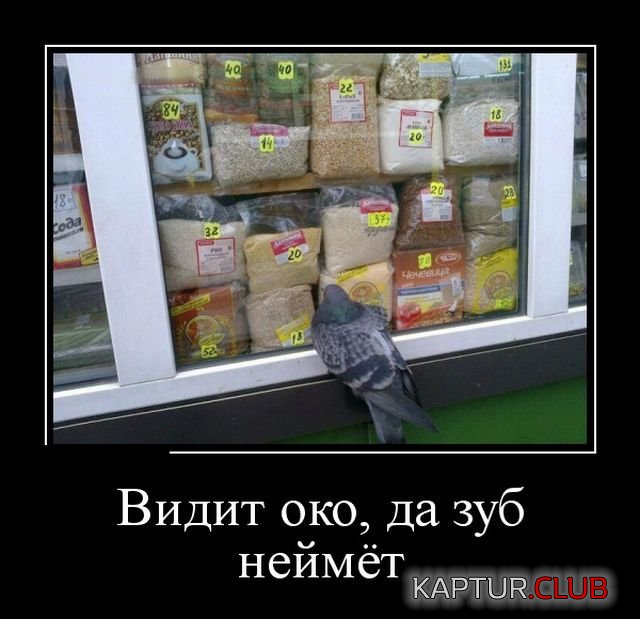 1521792561_demotivatory_02.jpg | Рено Каптур Клуб Россия | Форум KAPTUR.SU