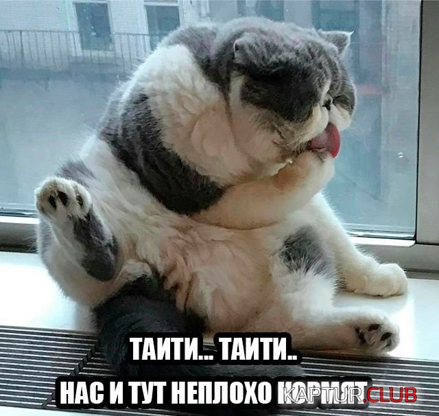 1521816174_kartinki_16.jpg | Рено Каптур Клуб Россия | Форум KAPTUR.SU