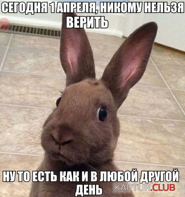 1522573490_1_apreliya_06.jpg | Рено Каптур Клуб Россия | Форум KAPTUR.SU