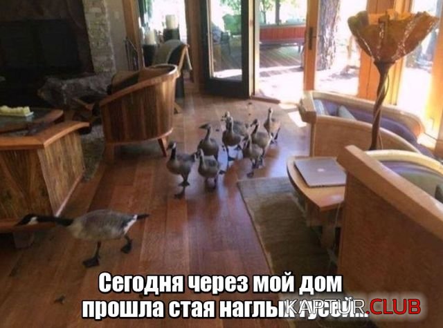 1522969321_podborka_dnevnaya_01.jpg | Рено Каптур Клуб Россия | Форум KAPTUR.SU