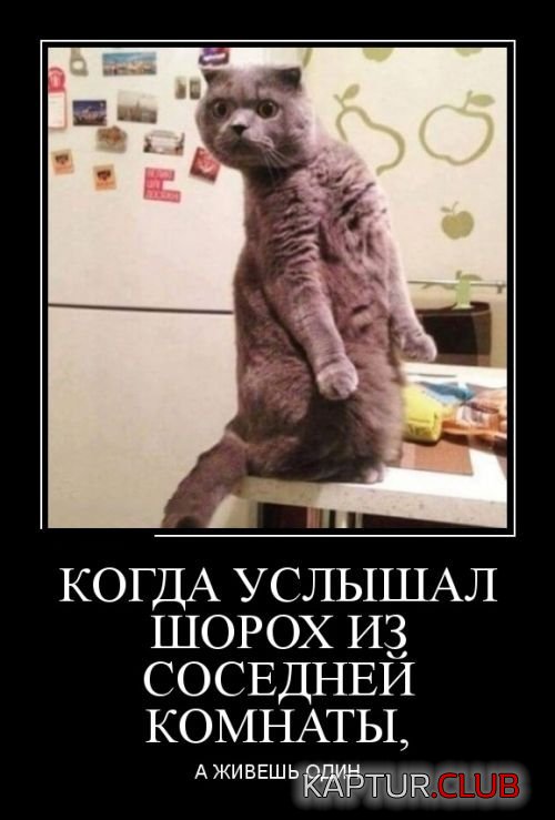 1522988030_demotivatory_17.jpg | Рено Каптур Клуб Россия | Форум KAPTUR.SU