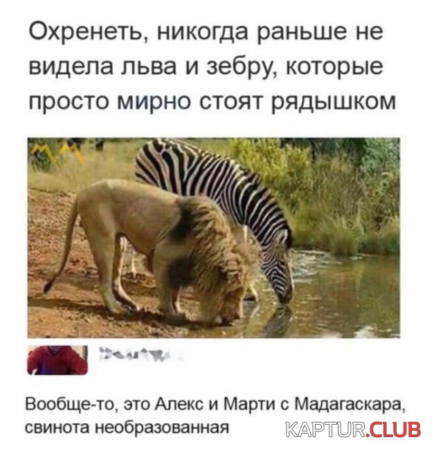 1523104370_1522423899_kartinki_14.jpg | Рено Каптур Клуб Россия | Форум KAPTUR.SU