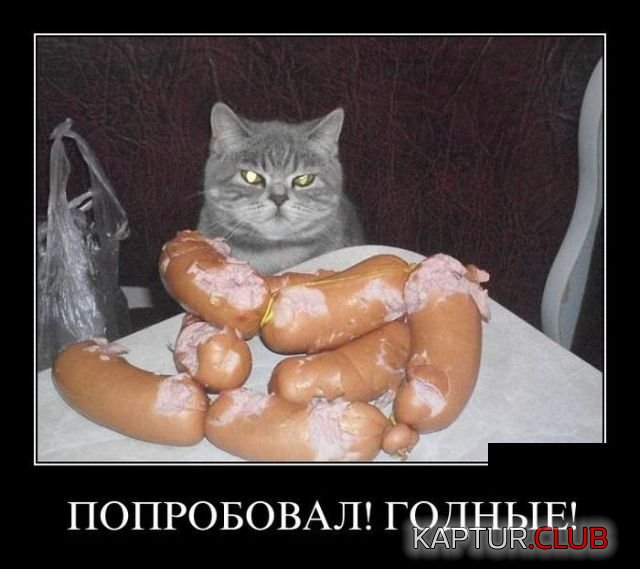 1523104686_demotivatory_11.jpg | Рено Каптур Клуб Россия | Форум KAPTUR.SU