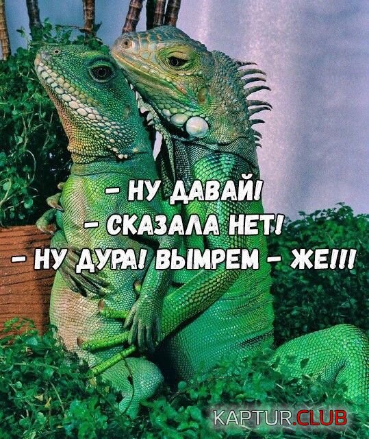 1523742071_kartinki_20.jpg | Рено Каптур Клуб Россия | Форум KAPTUR.SU