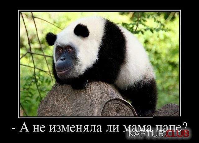 1523854464_demotivatory_30.jpg | Рено Каптур Клуб Россия | Форум KAPTUR.SU