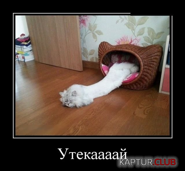 1524210692_demotivatory_05.jpg | Рено Каптур Клуб Россия | Форум KAPTUR.SU
