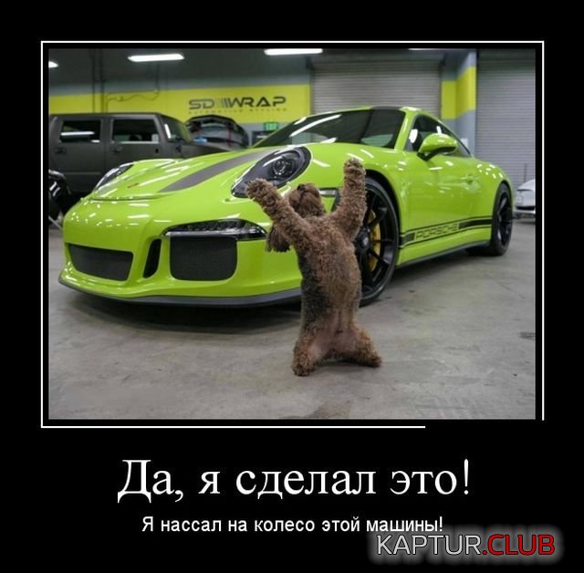 1524210746_demotivatory_12.jpg | Рено Каптур Клуб Россия | Форум KAPTUR.SU