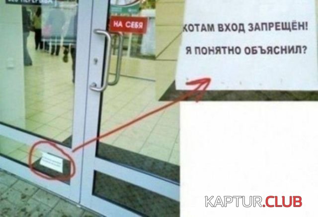 1524210826_podborka_dnevnaya_02.jpg | Рено Каптур Клуб Россия | Форум KAPTUR.SU