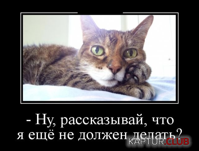 1524215976_demotivatory_04.jpg | Рено Каптур Клуб Россия | Форум KAPTUR.SU