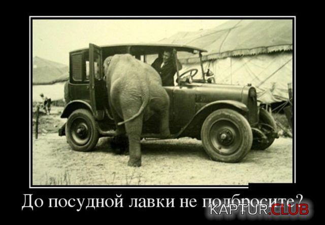 1525333191_demotivatiry_26.jpg | Рено Каптур Клуб Россия | Форум KAPTUR.SU