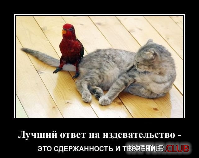 1525333261_demotivatiry_01.jpg | Рено Каптур Клуб Россия | Форум KAPTUR.SU
