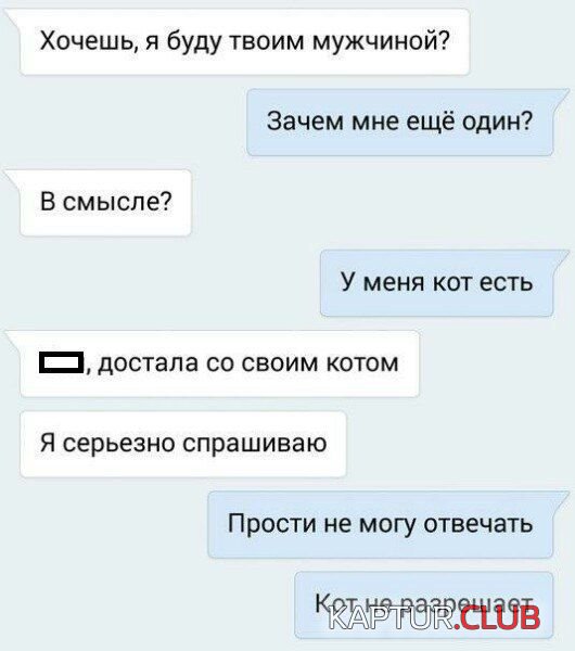 1525556910_katinki_12.jpg | Рено Каптур Клуб Россия | Форум KAPTUR.SU