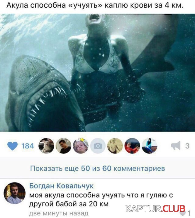 1525556972_katinki_10.jpg | Рено Каптур Клуб Россия | Форум KAPTUR.SU