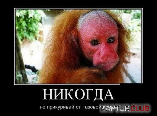 1526021889_demotivatory_08.jpg | Рено Каптур Клуб Россия | Форум KAPTUR.SU