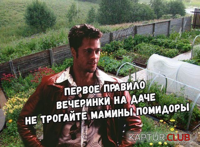 1526026881_podborka_dnevnaya_01.jpg | Рено Каптур Клуб Россия | Форум KAPTUR.SU