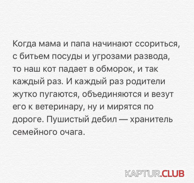 1526203280_kartinki_19.jpg | Рено Каптур Клуб Россия | Форум KAPTUR.SU