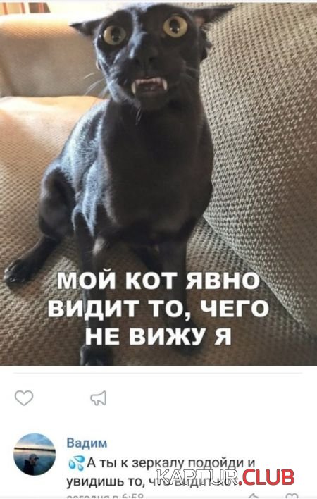 1526281046_soc_seti_11.jpg | Рено Каптур Клуб Россия | Форум KAPTUR.SU