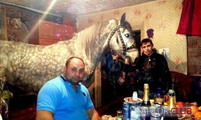 1526304760_russia_08.jpg | Рено Каптур Клуб Россия | Форум KAPTUR.SU