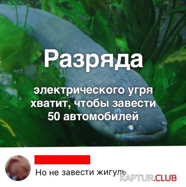 1526807190_kartinki_02.jpg | Рено Каптур Клуб Россия | Форум KAPTUR.SU