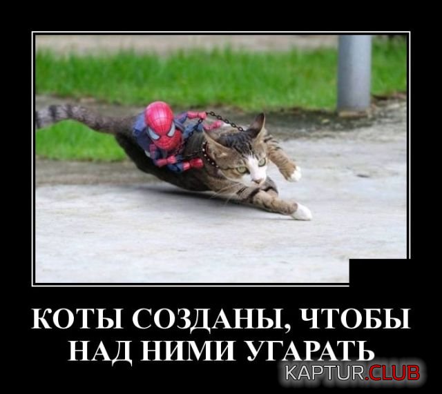 1526820488_demotivatory_11.jpg | Рено Каптур Клуб Россия | Форум KAPTUR.SU