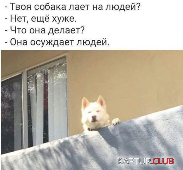 1526820500_podborka_dnevnaya_09.jpg | Рено Каптур Клуб Россия | Форум KAPTUR.SU