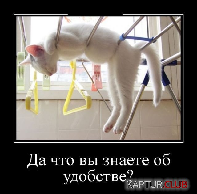1526821958_demotivatory_22.jpg | Рено Каптур Клуб Россия | Форум KAPTUR.SU