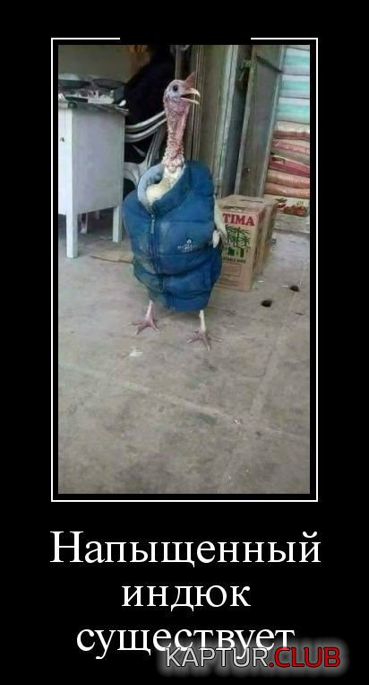 1526821985_demotivatory_07.jpg | Рено Каптур Клуб Россия | Форум KAPTUR.SU