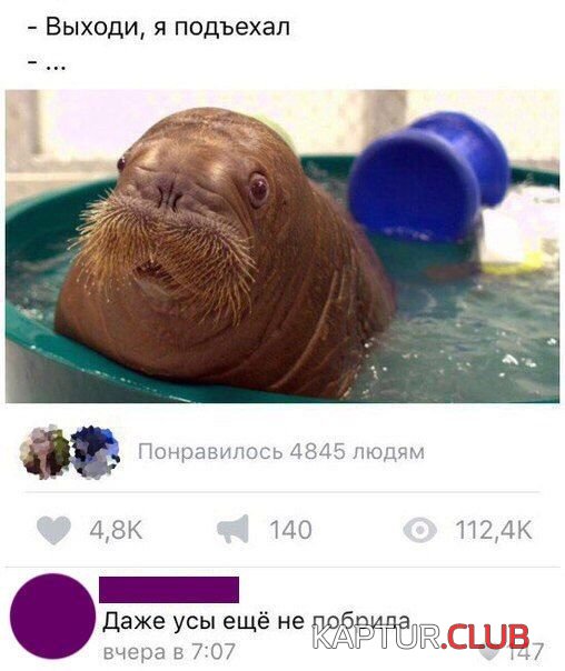 1526826435_soc_seti_22.jpg | Рено Каптур Клуб Россия | Форум KAPTUR.SU